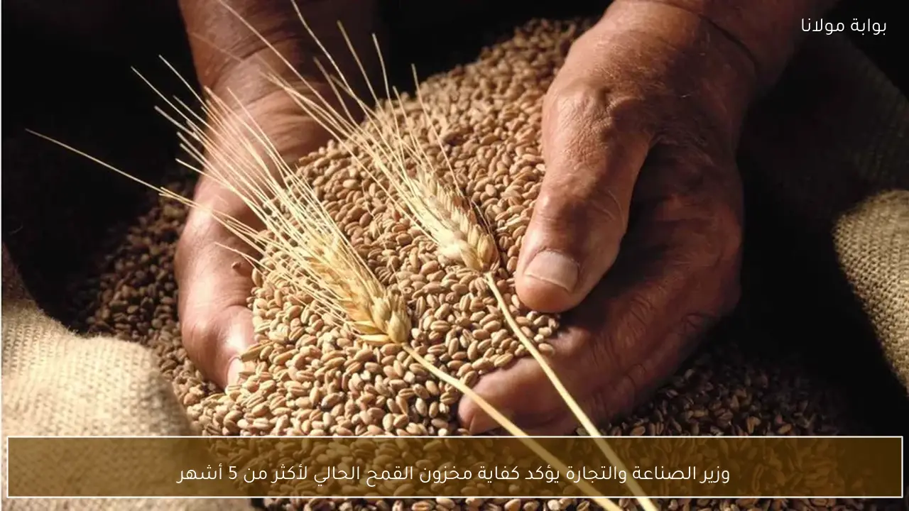 وزير الصناعة والتجارة يؤكد كفاية مخزون القمح الحالي لأكثر من 5 أشهر