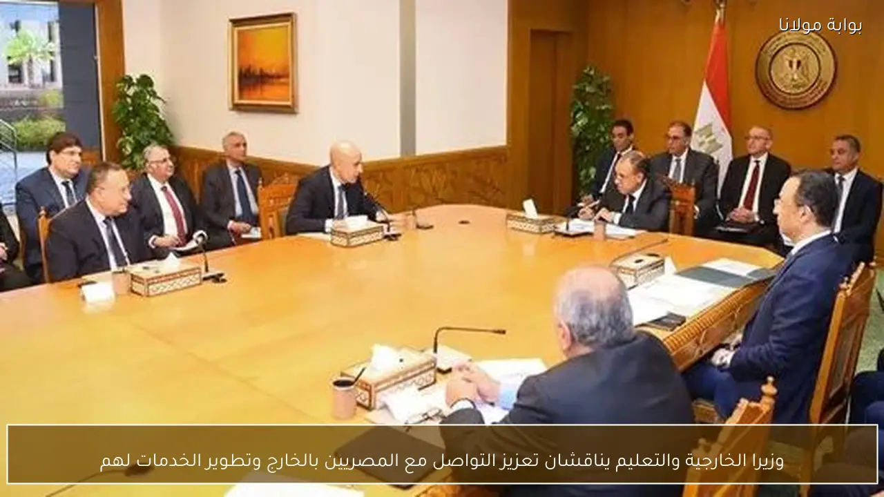 وزيرا الخارجية والتعليم يناقشان تعزيز التواصل مع المصريين بالخارج وتطوير الخدمات لهم