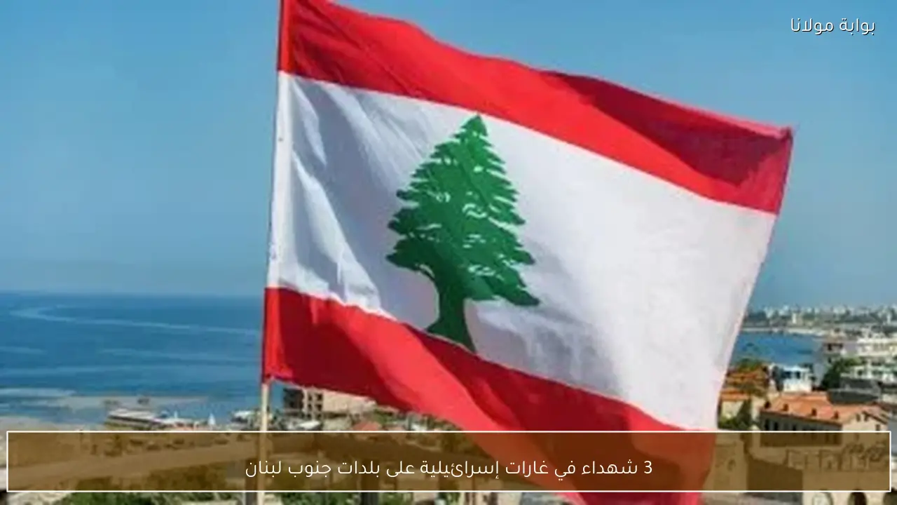 3 شهداء في غارات إسرائيلية على بلدات جنوب لبنان