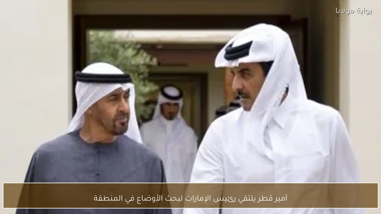 أمير قطر يلتقي رئيس الإمارات لبحث الأوضاع في المنطقة