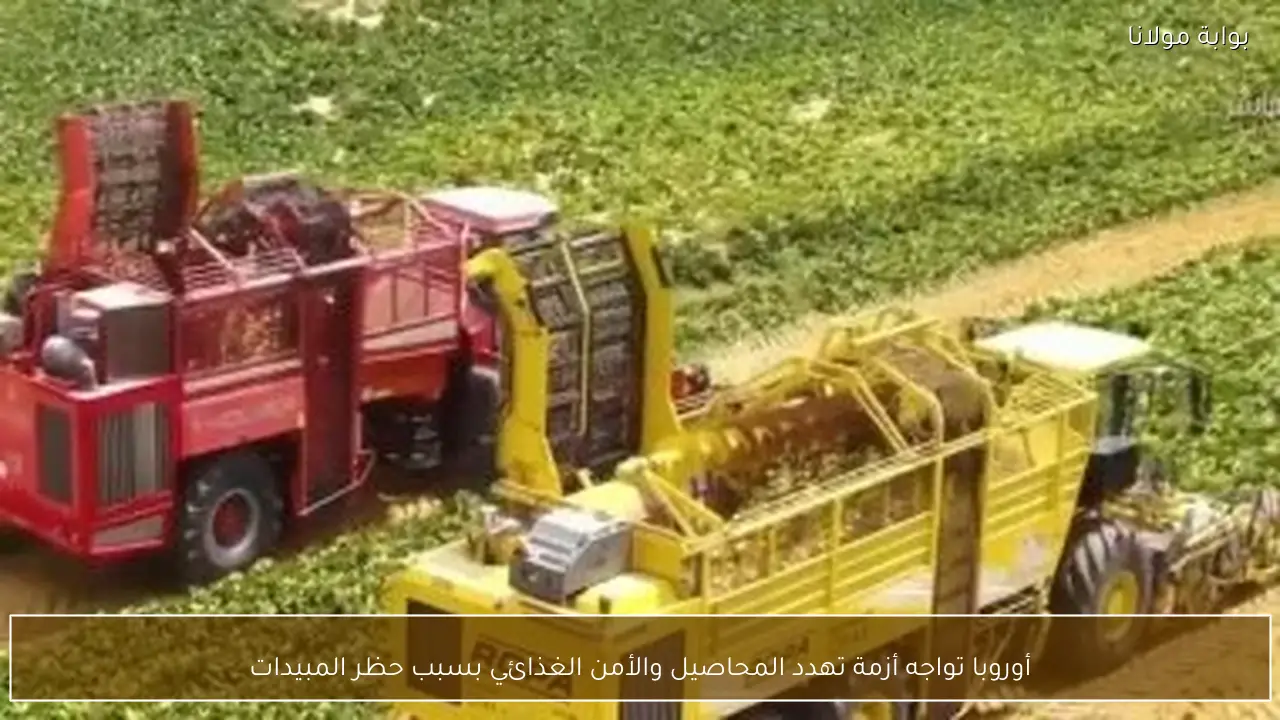 أوروبا تواجه أزمة تهدد المحاصيل والأمن الغذائي بسبب حظر المبيدات