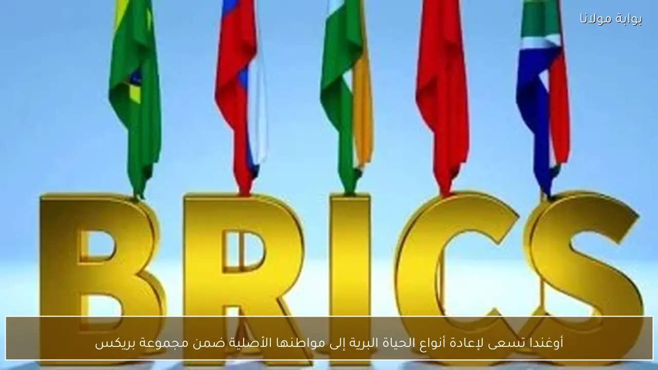 أوغندا تسعى لإعادة أنواع الحياة البرية إلى مواطنها الأصلية ضمن مجموعة بريكس