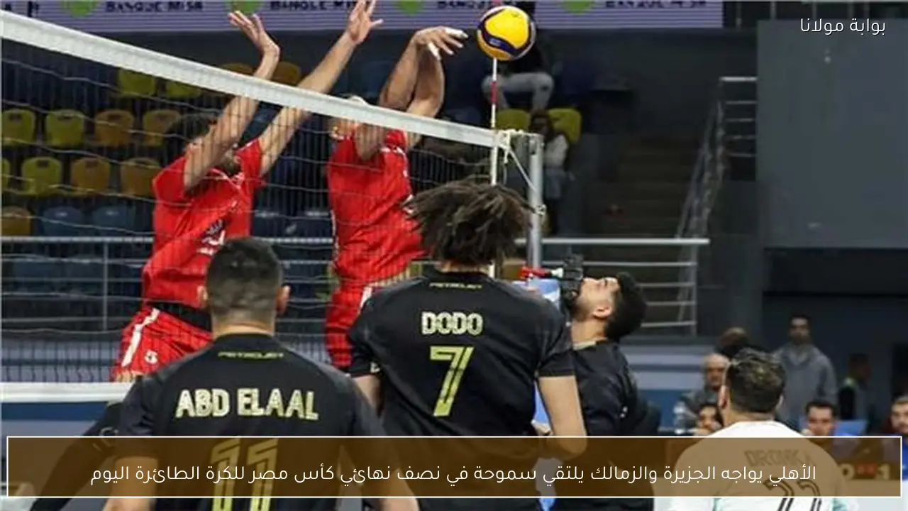 الأهلي يواجه الجزيرة والزمالك يلتقي سموحة في نصف نهائي كأس مصر للكرة الطائرة اليوم