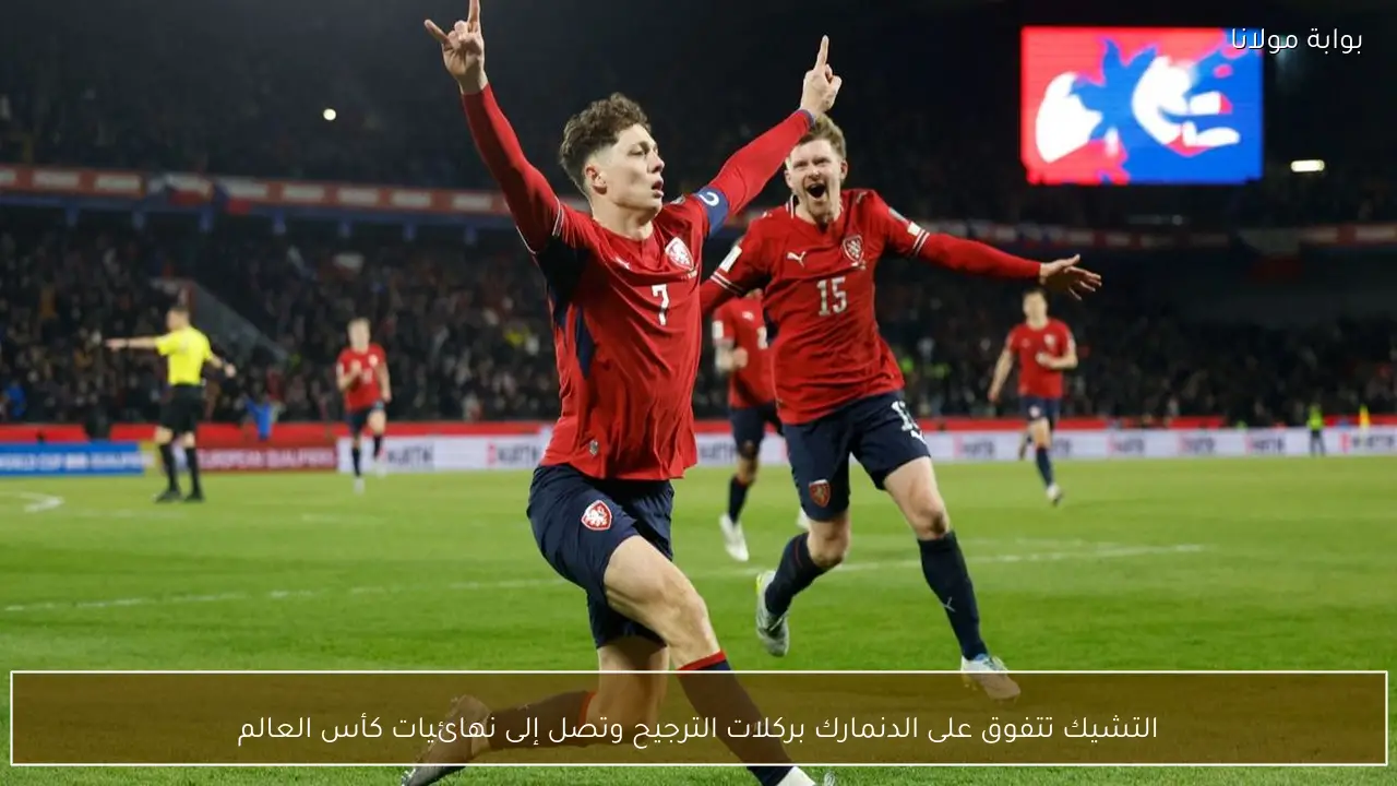 التشيك تتفوق على الدنمارك بركلات الترجيح وتصل إلى نهائيات كأس العالم
