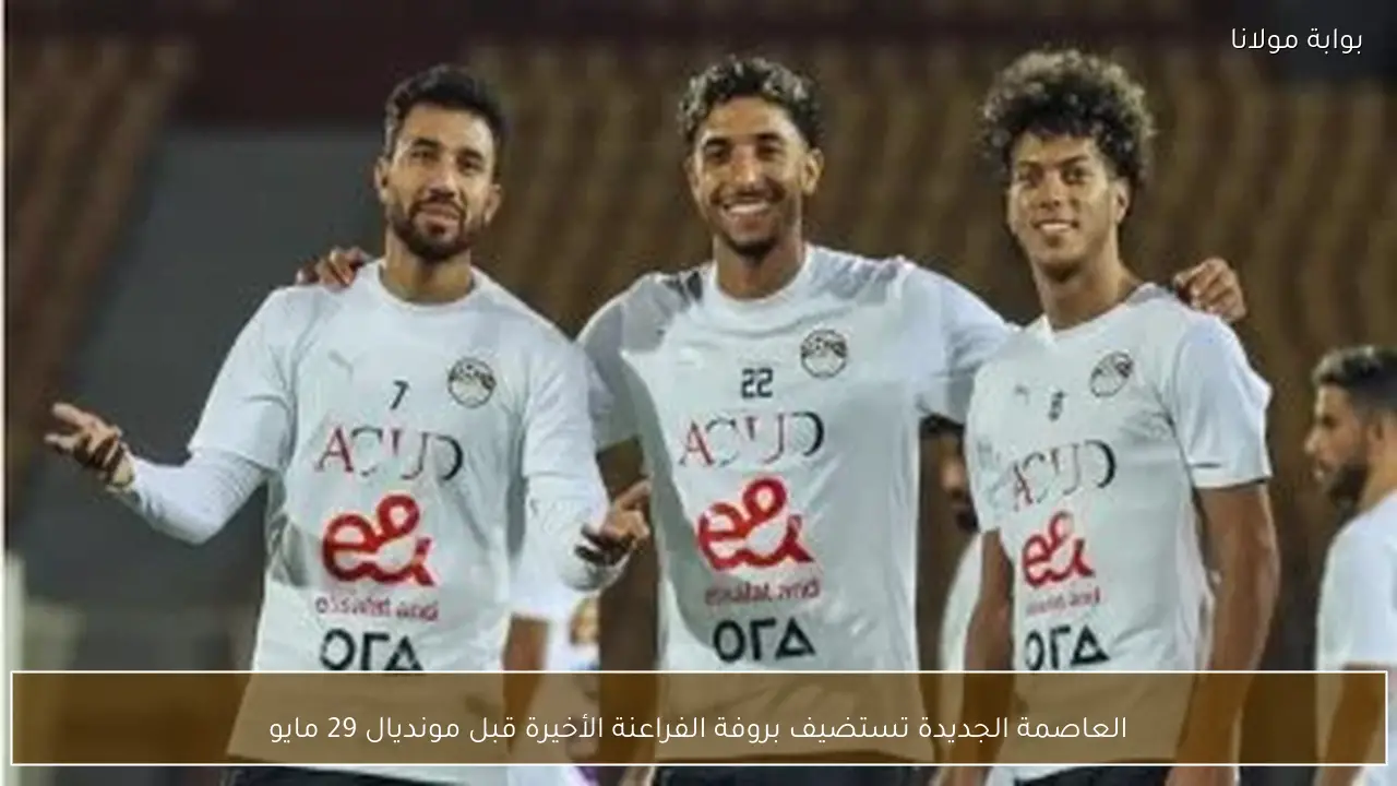 العاصمة الجديدة تستضيف بروفة الفراعنة الأخيرة قبل مونديال 29 مايو