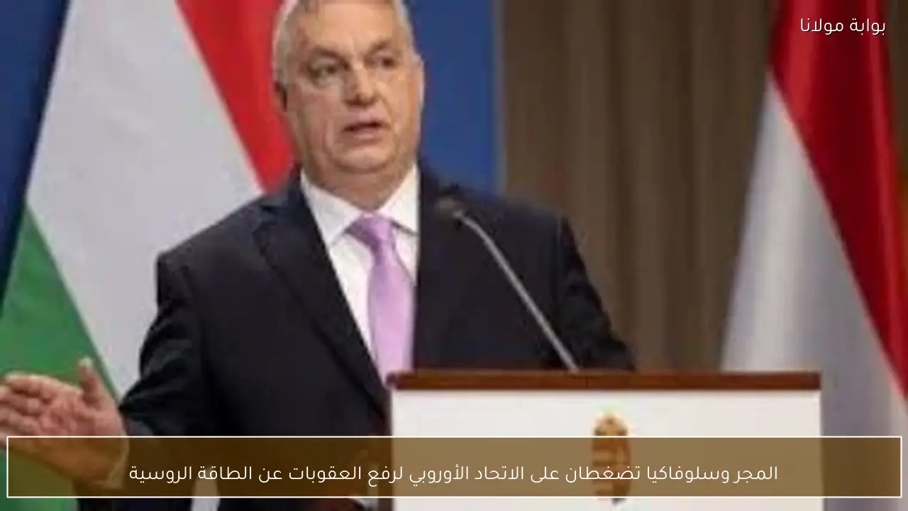 المجر وسلوفاكيا تضغطان على الاتحاد الأوروبي لرفع العقوبات عن الطاقة الروسية