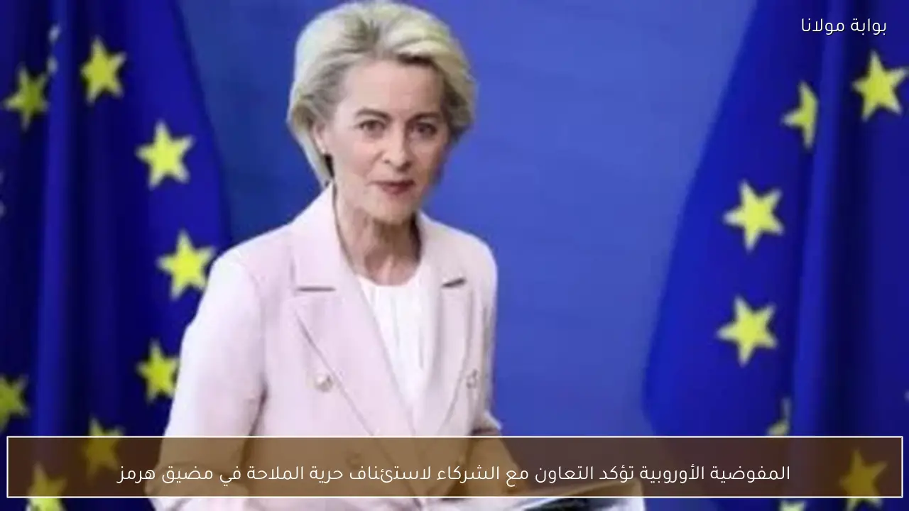 المفوضية الأوروبية تؤكد التعاون مع الشركاء لاستئناف حرية الملاحة في مضيق هرمز