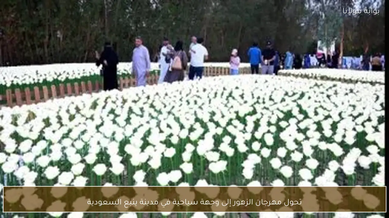 تحول مهرجان الزهور إلى وجهة سياحية في مدينة ينبع السعودية