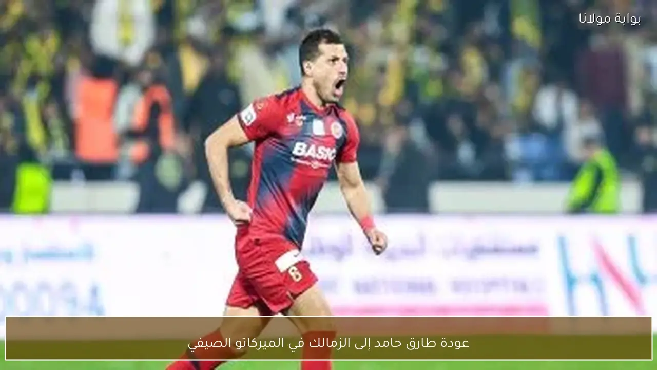 عودة طارق حامد إلى الزمالك في الميركاتو الصيفي