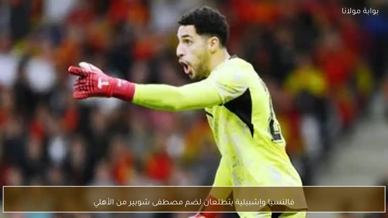 فالنسيا وإشبيلية يتطلعان لضم مصطفى شوبير من الأهلي
