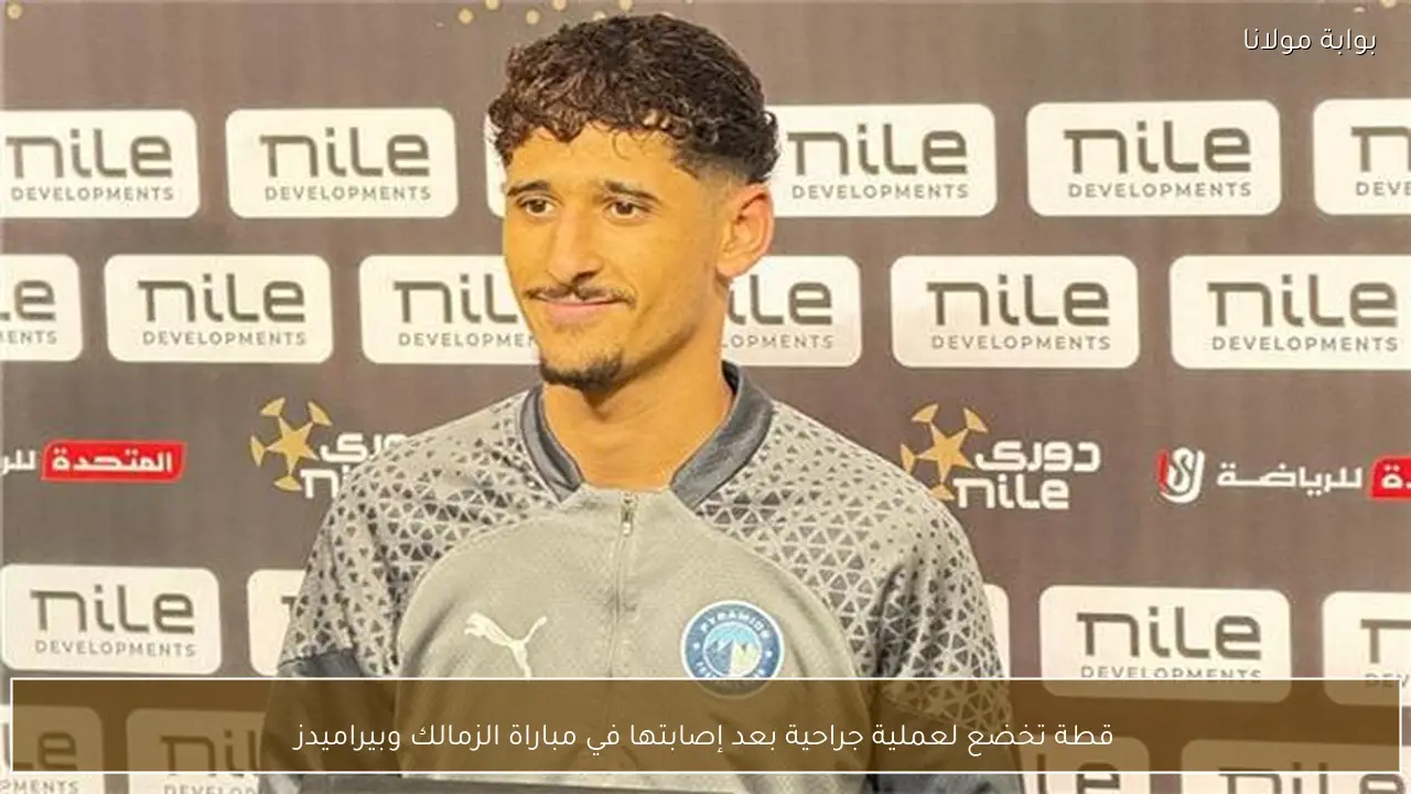 قطة تخضع لعملية جراحية بعد إصابتها في مباراة الزمالك وبيراميدز