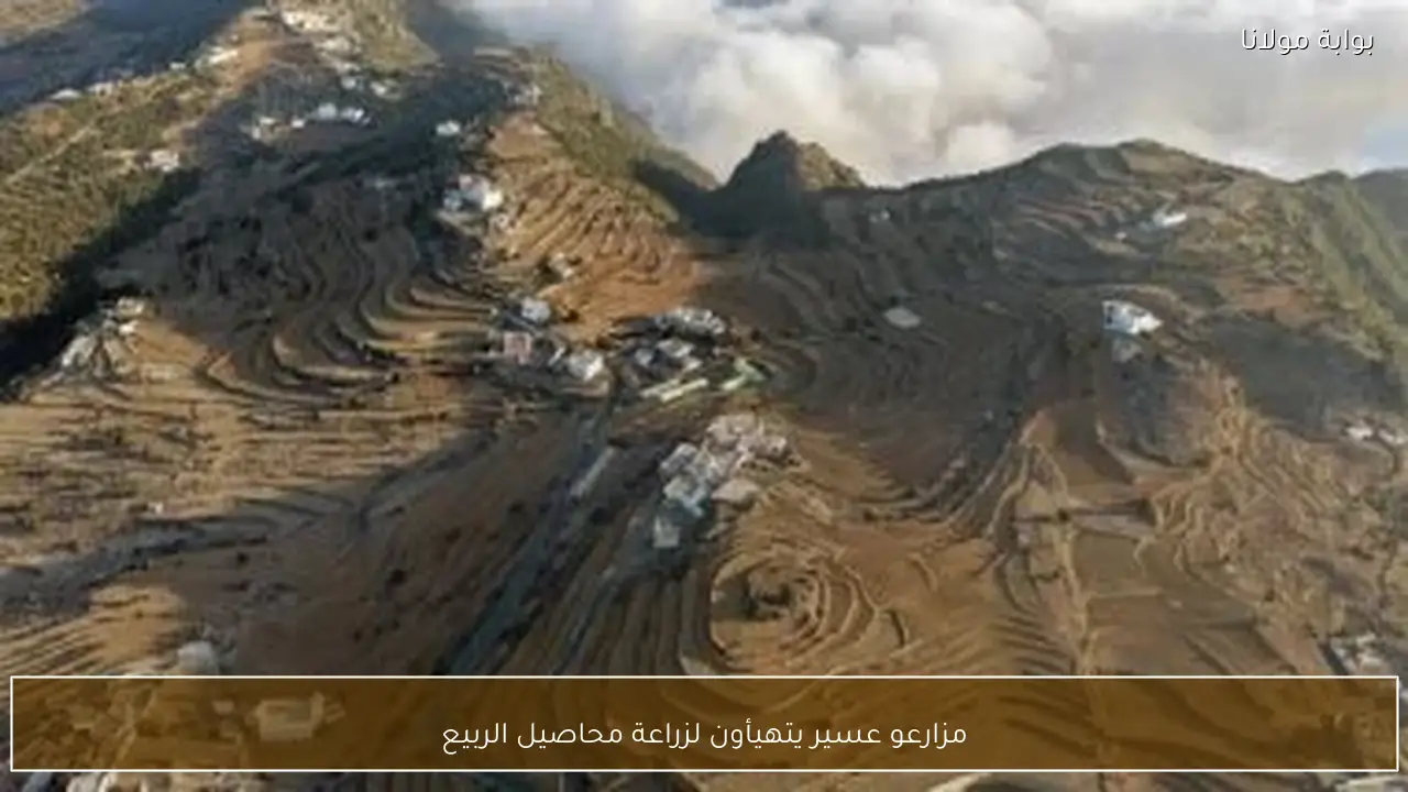 مزارعو عسير يتهيأون لزراعة محاصيل الربيع