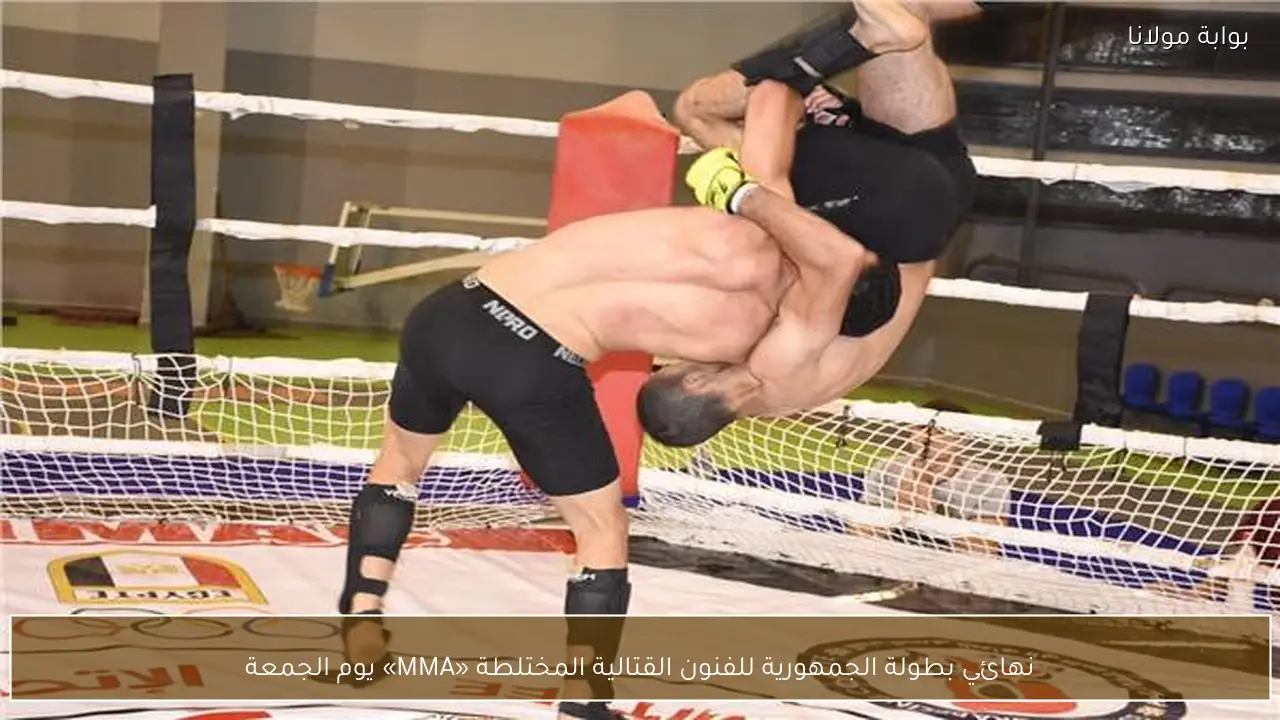 نهائي بطولة الجمهورية للفنون القتالية المختلطة «MMA» يوم الجمعة