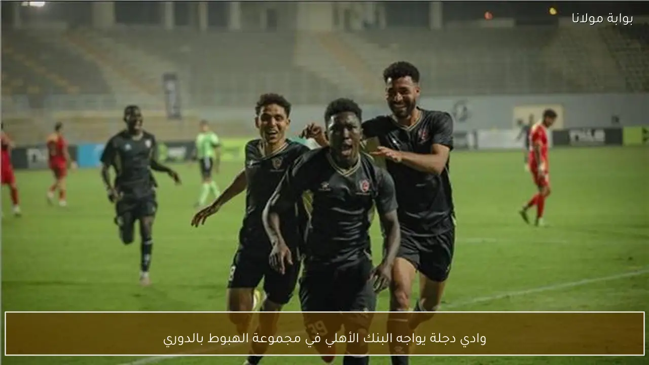 وادي دجلة يواجه البنك الأهلي في مجموعة الهبوط بالدوري