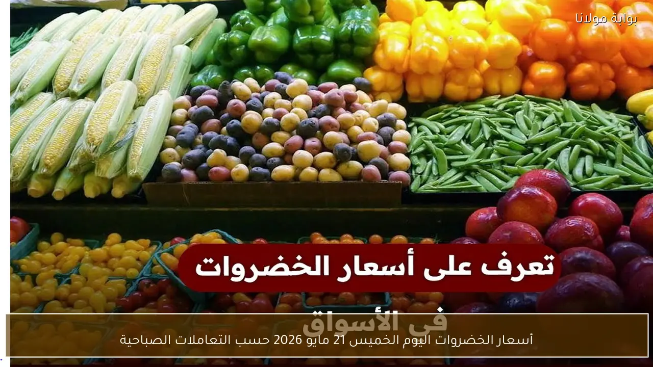 أسعار الخضروات اليوم الخميس 21 مايو 2026 حسب التعاملات الصباحية