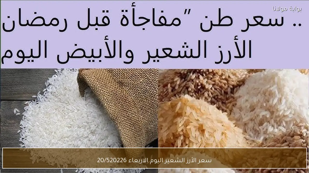 سعر الأرز الشعير اليوم الاربعاء 20-5-2026