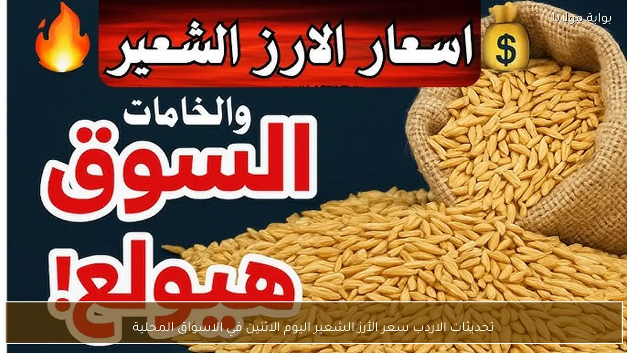 تحديثات الاردب سعر الأرز الشعير اليوم الاثنين في الاسواق المحلية