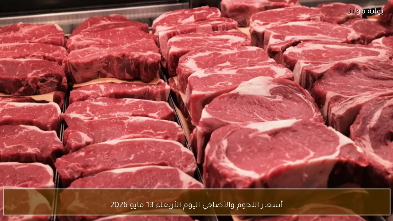 أسعار اللحوم والأضاحي اليوم الأربعاء 13 مايو 2026 في الأسواق والمنافذ المختلفة