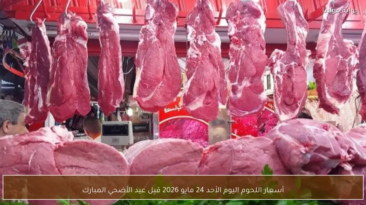 أسعار اللحوم اليوم الأحد 24 مايو 2026 قبل عيد الأضحي المبارك