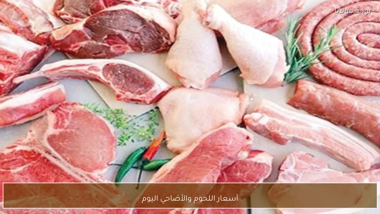 أسعار اللحوم والأضاحي اليوم في الأسواق المصرية قبل عيد الأضحى