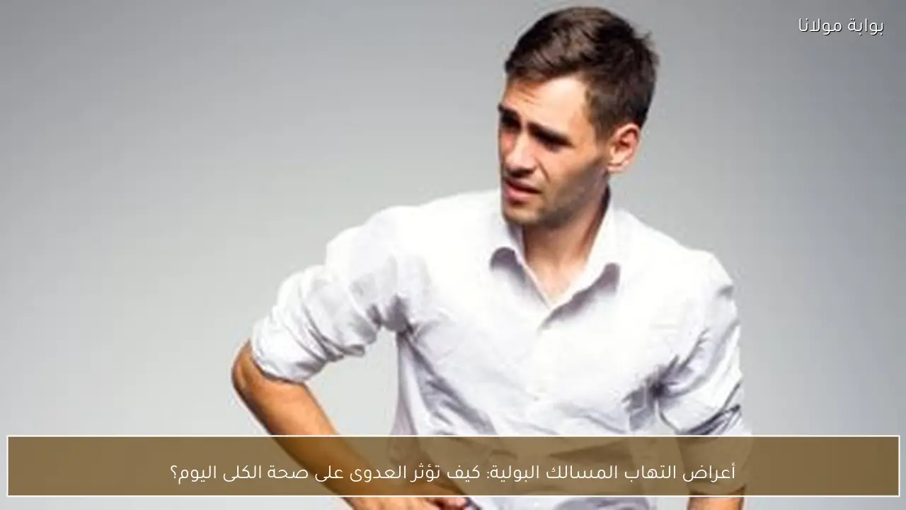 أعراض التهاب المسالك البولية: كيف تؤثر العدوى على صحة الكلى اليوم؟