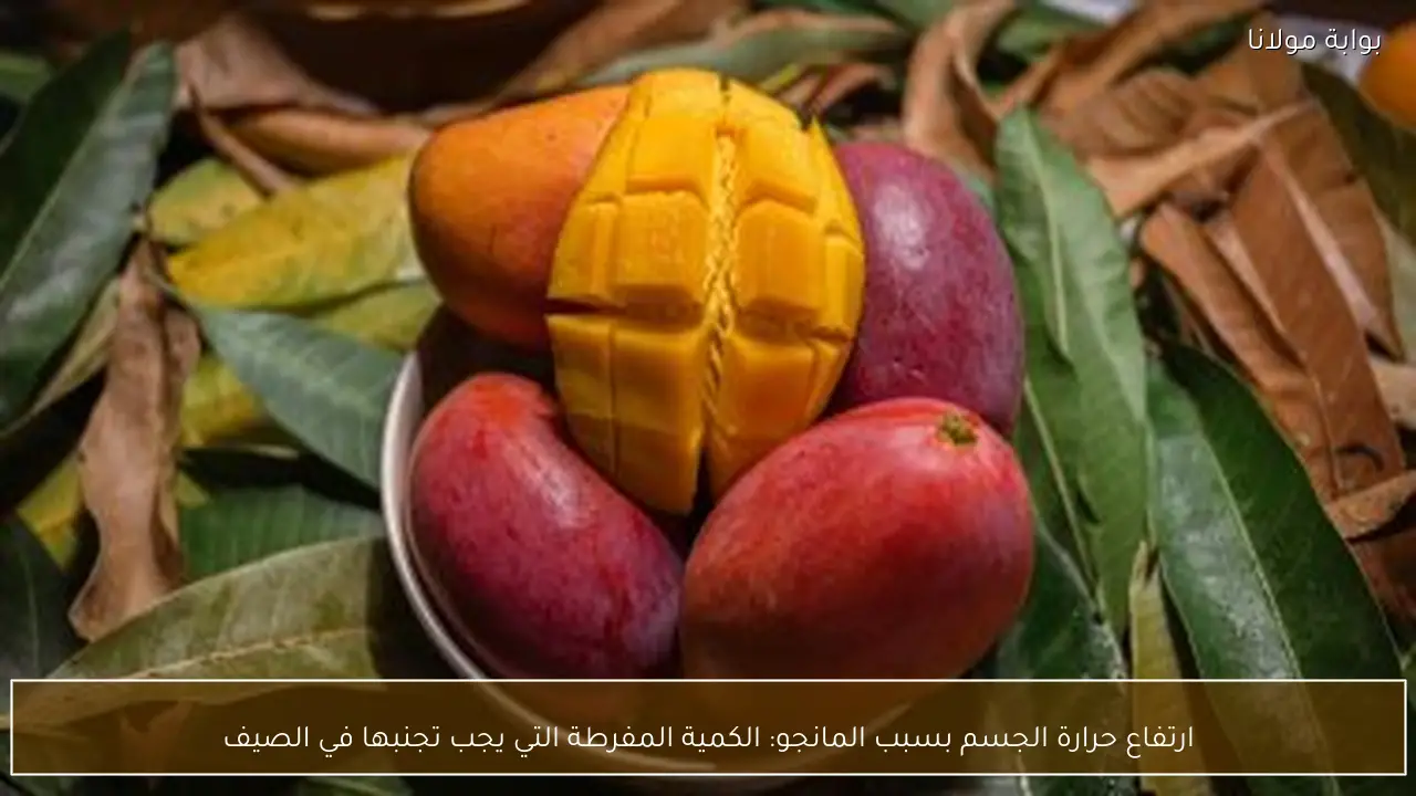 ارتفاع حرارة الجسم بسبب المانجو: الكمية المفرطة التي يجب تجنبها في الصيف