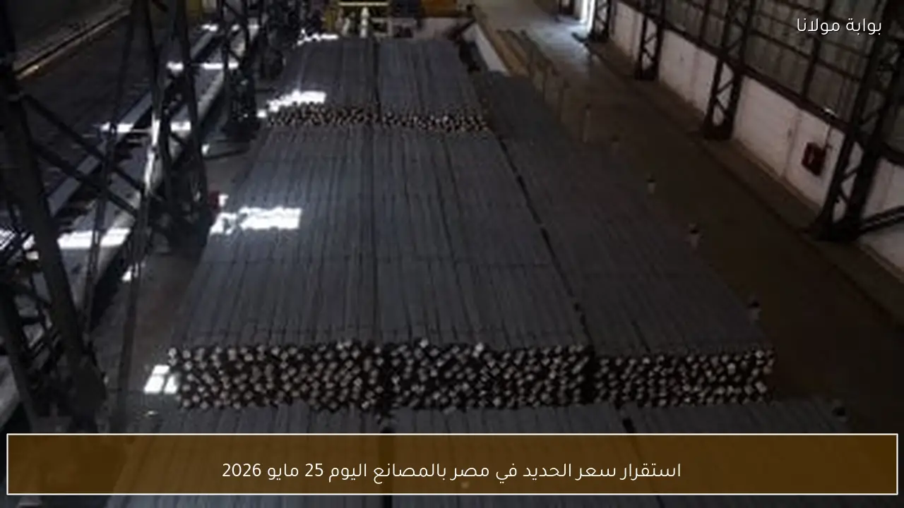 استقرار سعر الحديد في مصر بالمصانع اليوم 25 مايو 2026