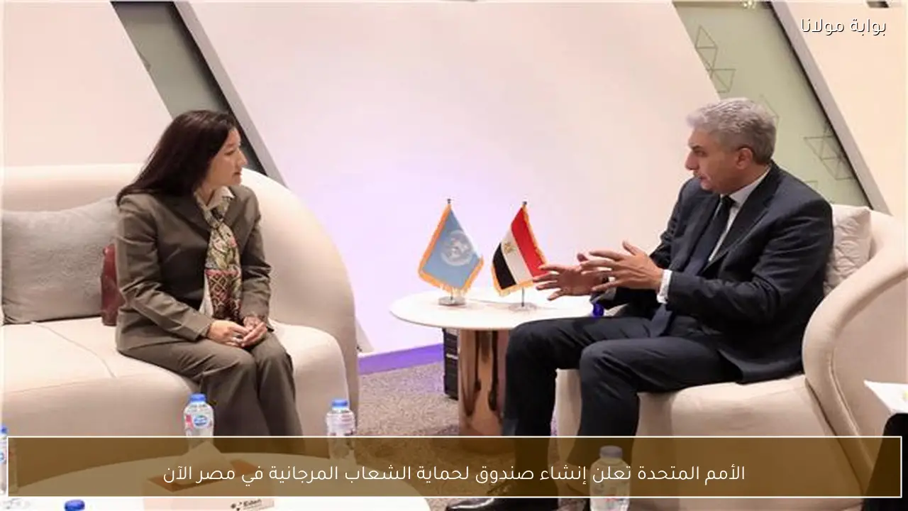 الأمم المتحدة تعلن إنشاء صندوق لحماية الشعاب المرجانية في مصر الآن