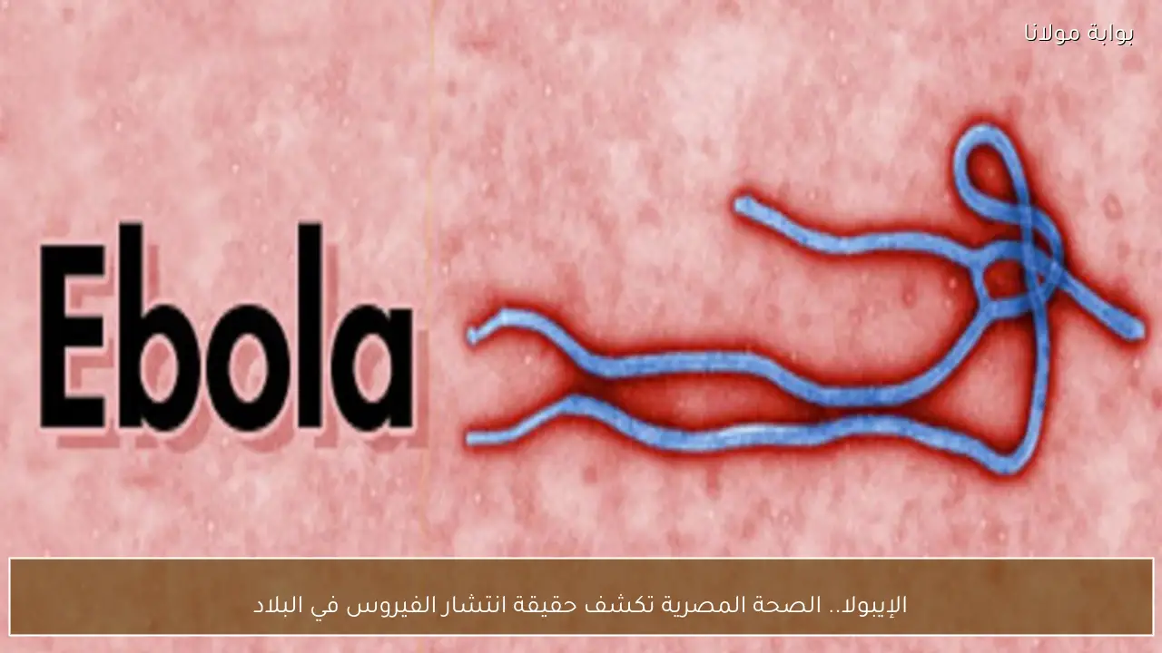 الإيبولا.. الصحة المصرية تكشف حقيقة انتشار الفيروس في البلاد