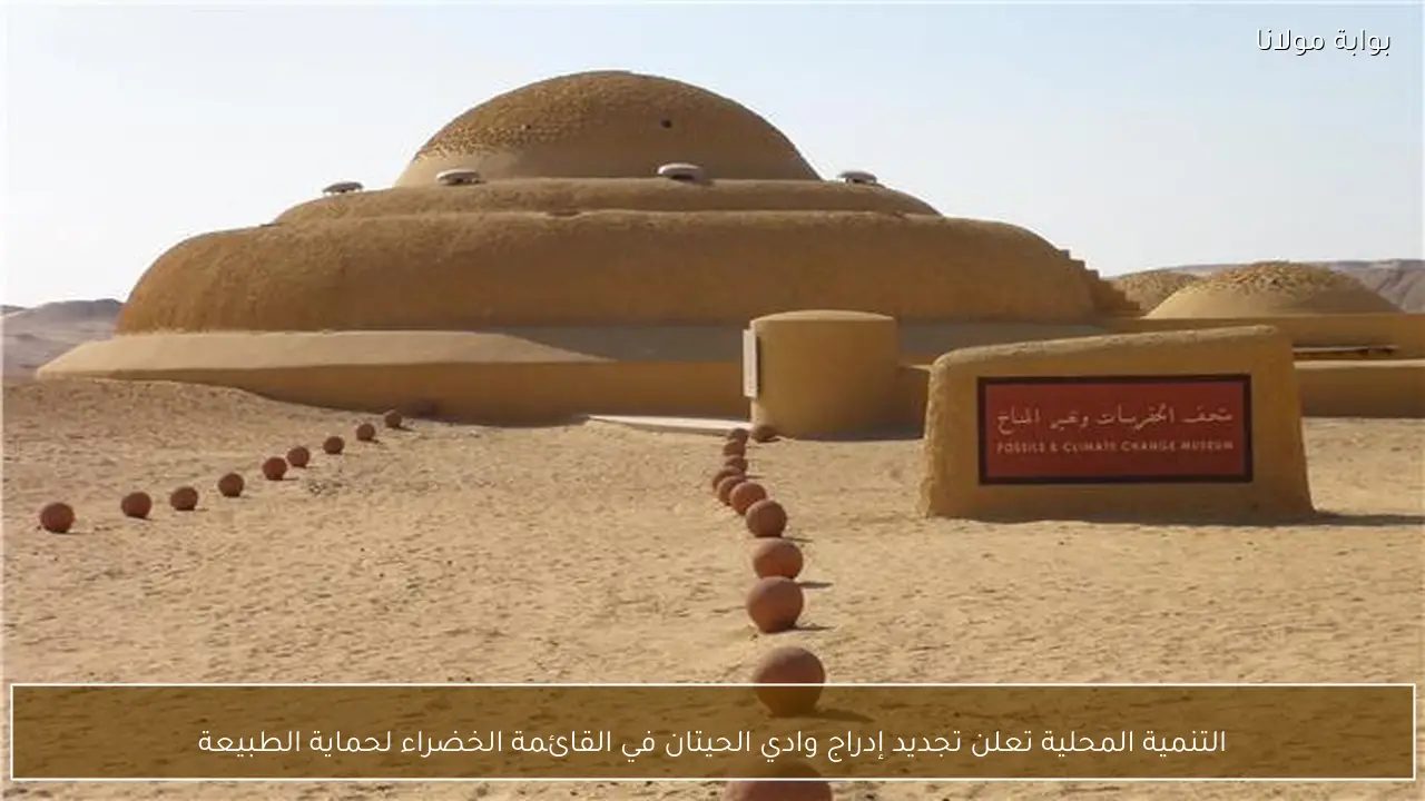 التنمية المحلية تعلن تجديد إدراج وادي الحيتان في القائمة الخضراء لحماية الطبيعة