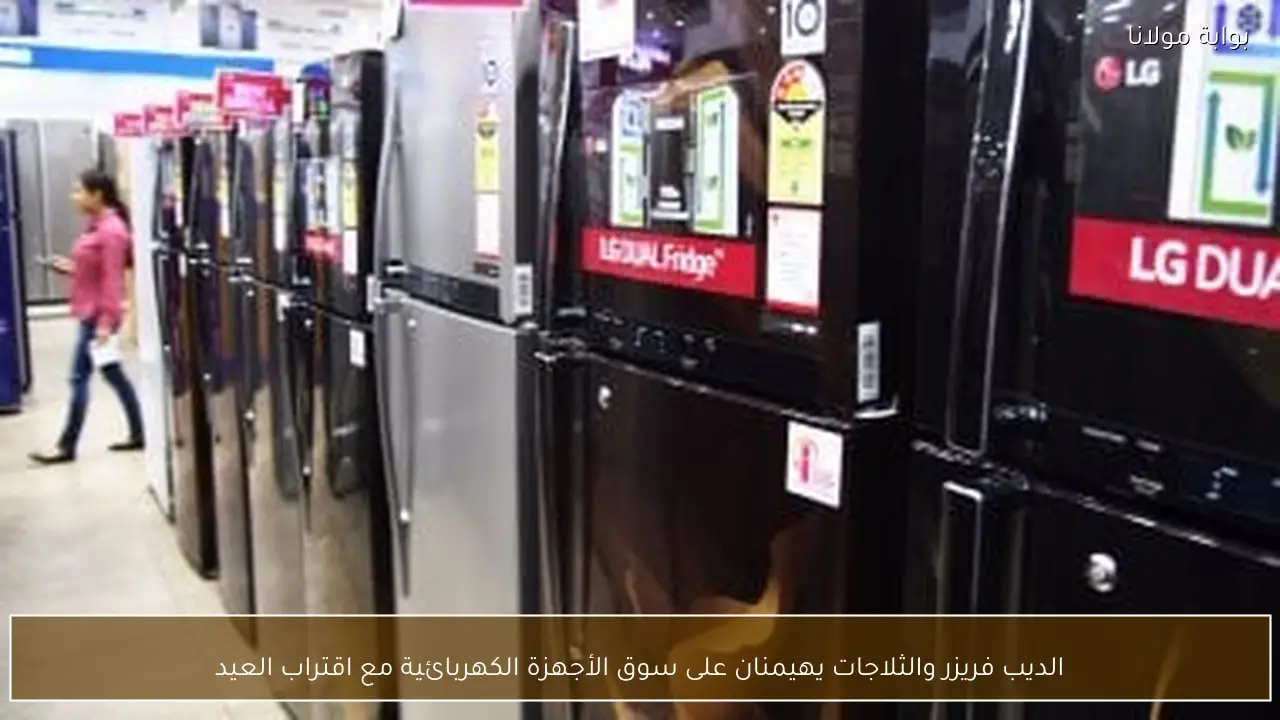 الديب فريزر والثلاجات يهيمنان على سوق الأجهزة الكهربائية مع اقتراب العيد