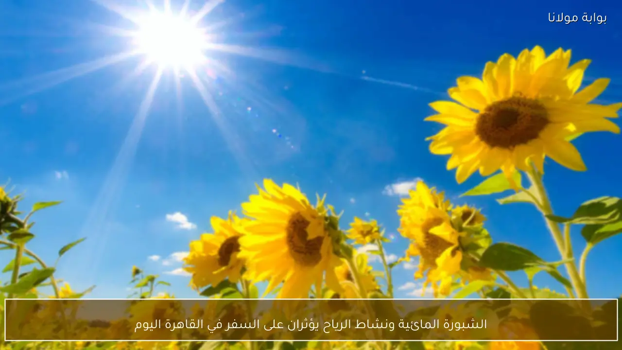 الشبورة المائية ونشاط الرياح يؤثران على السفر في القاهرة اليوم