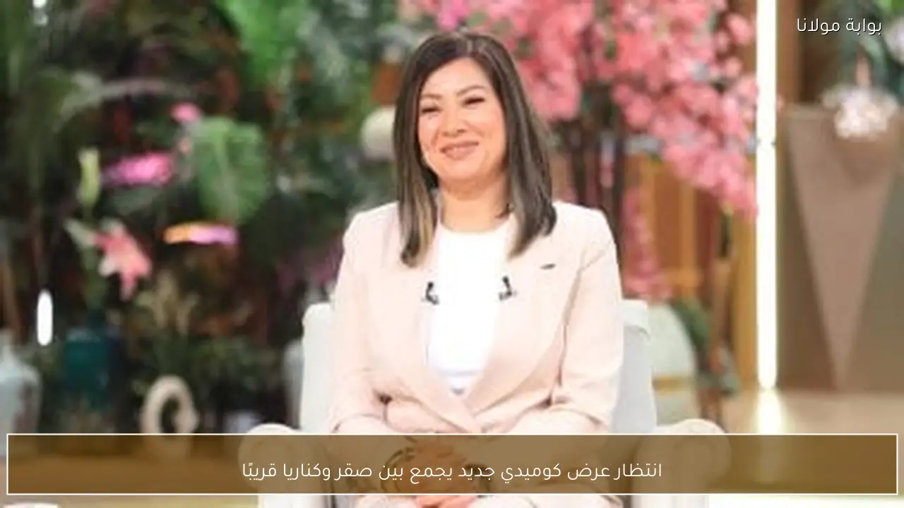 انتظار عرض كوميدي جديد يجمع بين صقر وكناريا قريبًا