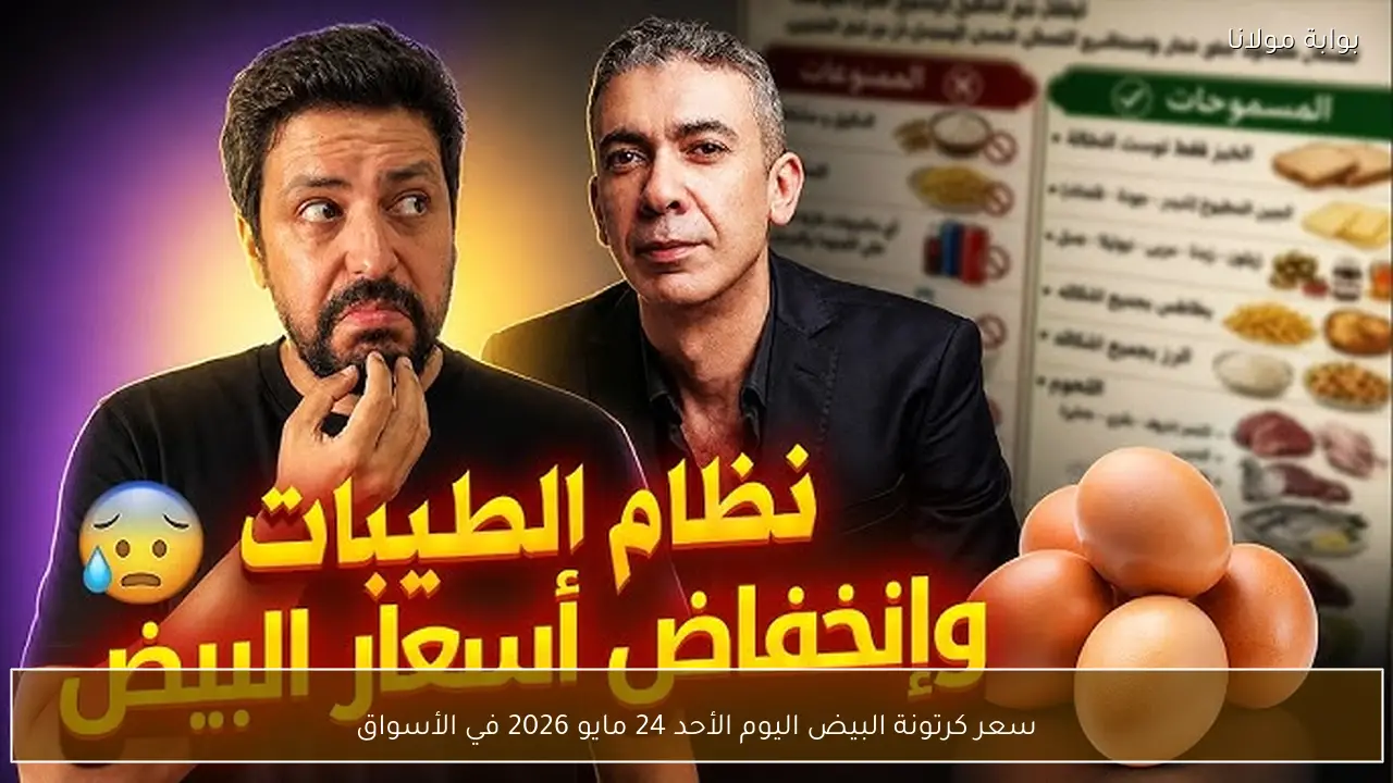 سعر كرتونة البيض اليوم للمستهلك الإثنين 18-5-2026