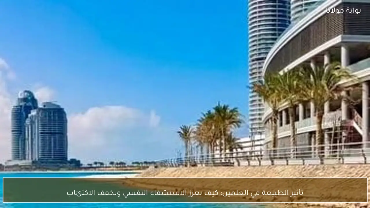 تأثير الطبيعة في العلمين: كيف تعزز الاستشفاء النفسي وتخفف الاكتئاب