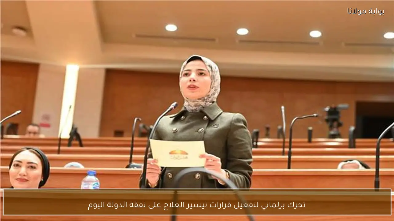 تحرك برلماني لتفعيل قرارات تيسير العلاج على نفقة الدولة اليوم