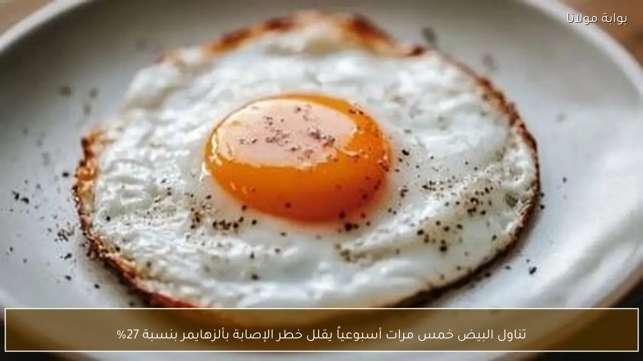 تناول البيض خمس مرات أسبوعياً يقلل خطر الإصابة بألزهايمر بنسبة 27%