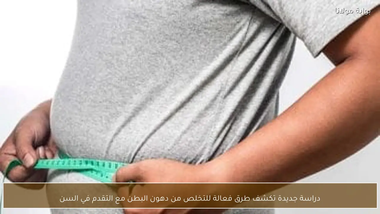 دراسة جديدة تكشف طرق فعالة للتخلص من دهون البطن مع التقدم في السن