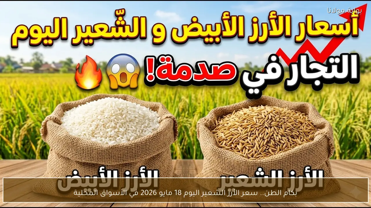 بكام الطن.. سعر الأرز الشعير اليوم 18 مايو 2026 في الأسواق المحلية