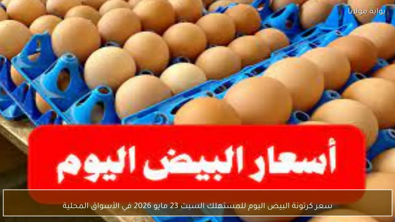 سعر كرتونة البيض اليوم للمستهلك السبت 23 مايو 2026 في الأسواق المحلية