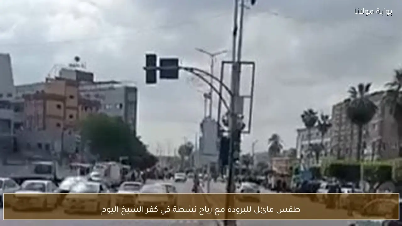 طقس مائل للبرودة مع رياح نشطة في كفر الشيخ اليوم