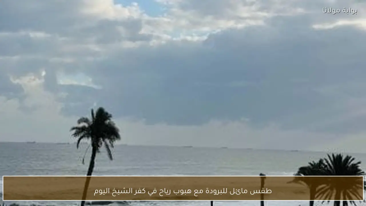 طقس مائل للبرودة مع هبوب رياح في كفر الشيخ اليوم