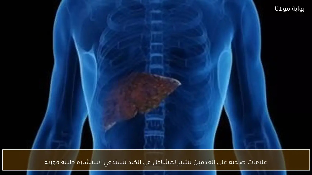 علامات صحية على القدمين تشير لمشاكل في الكبد تستدعي استشارة طبية فورية