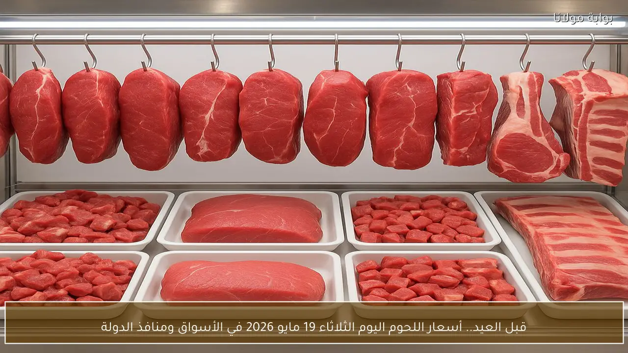 قبل العيد.. أسعار اللحوم اليوم الثلاثاء 19 مايو 2026 في الأسواق ومنافذ الدولة