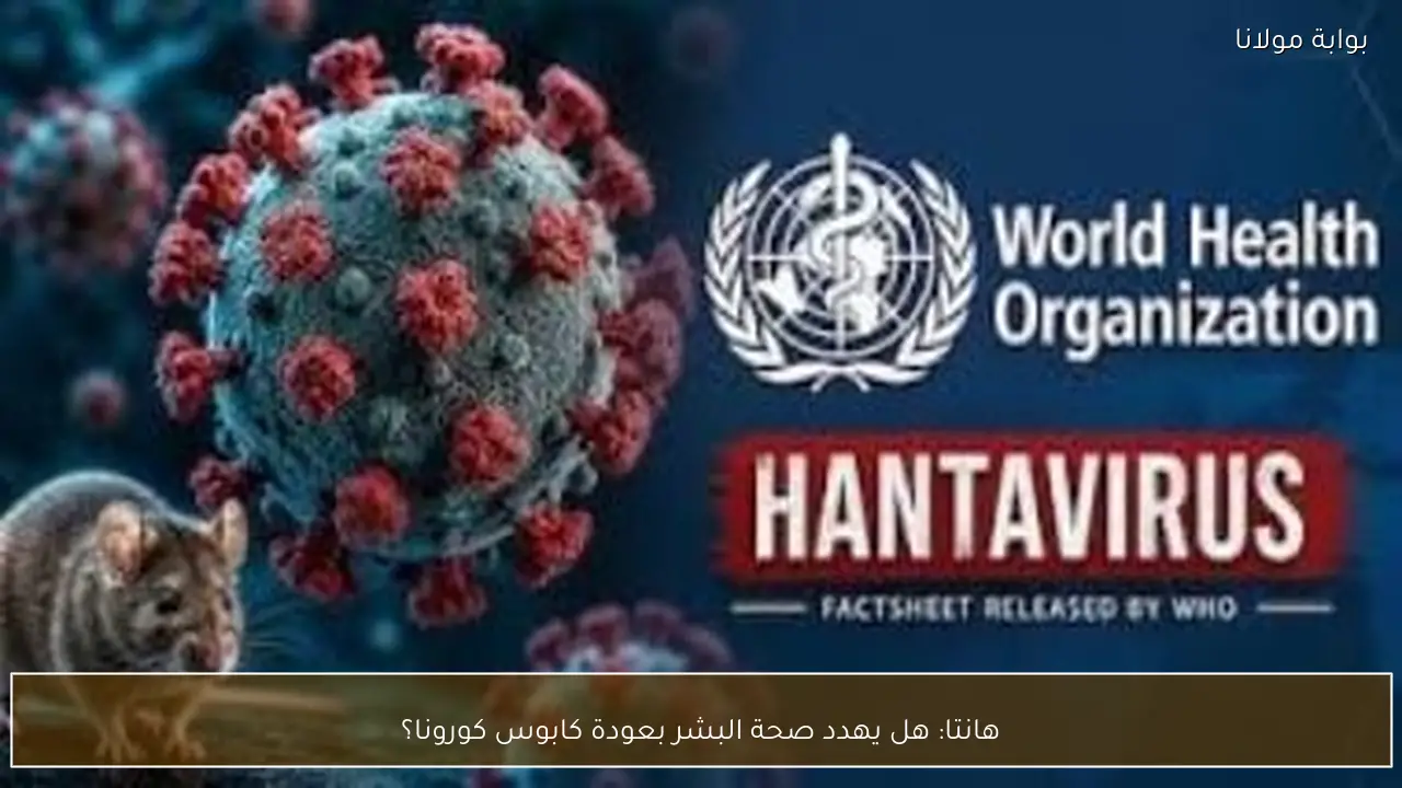 هانتا: هل يهدد صحة البشر بعودة كابوس كورونا؟