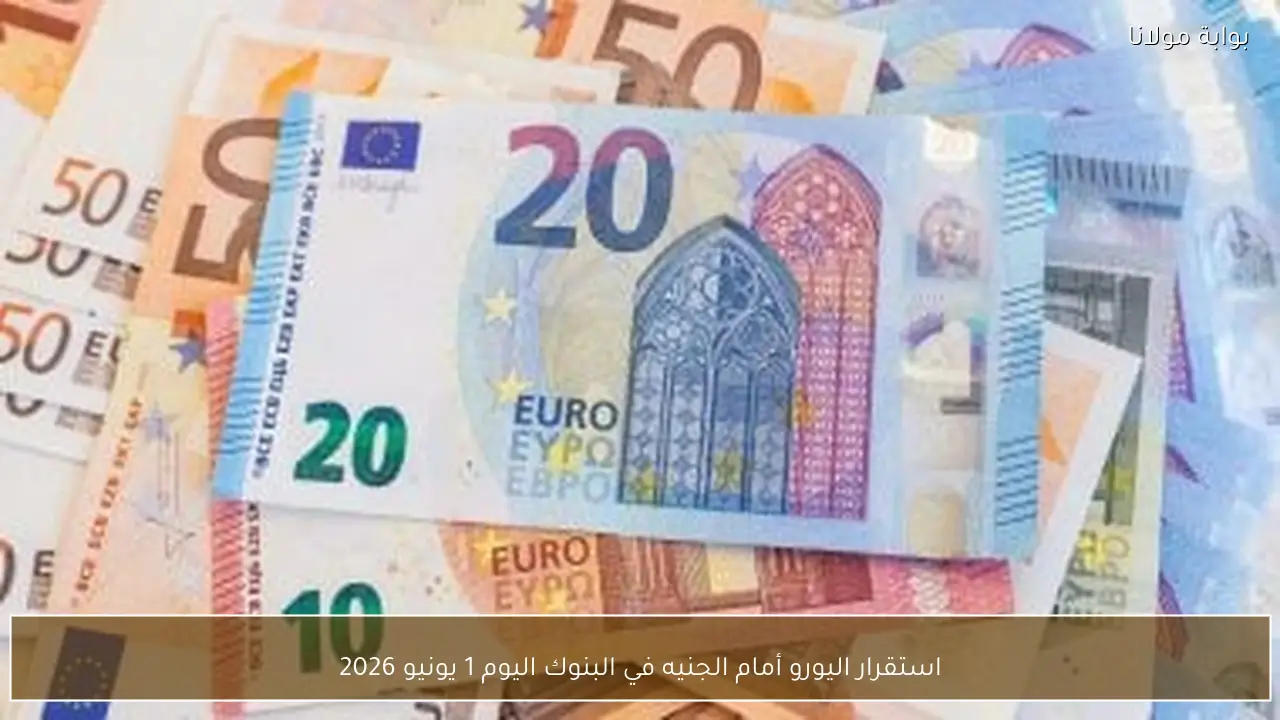 استقرار اليورو أمام الجنيه في البنوك اليوم 1 يونيو 2026
