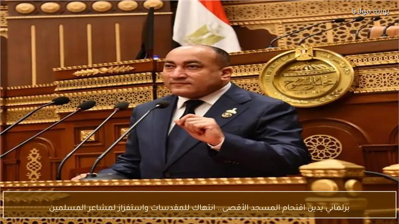 برلماني يدين اقتحام المسجد الأقصى.. انتهاك للمقدسات واستفزاز لمشاعر المسلمين