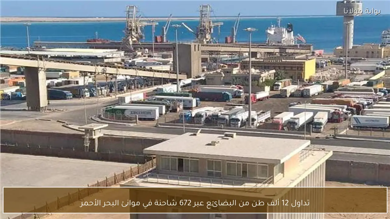 تداول 12 ألف طن من البضائع عبر 672 شاحنة في موانئ البحر الأحمر