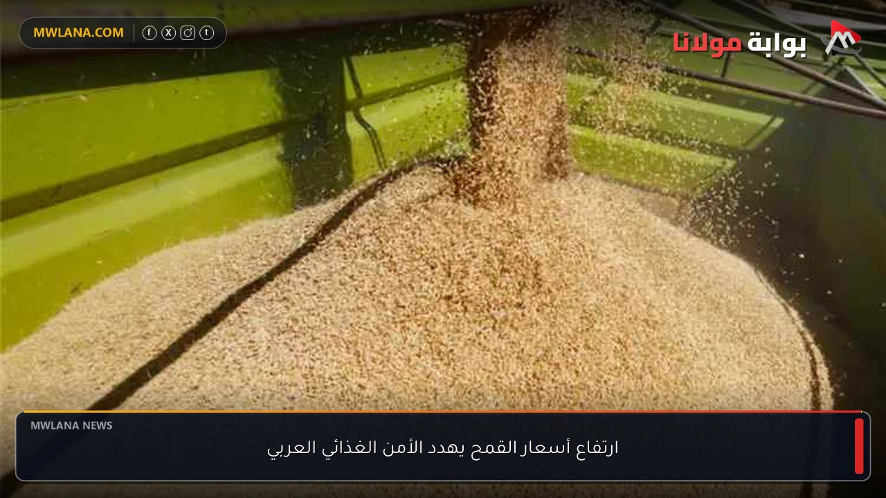 ارتفاع أسعار القمح يهدد الأمن الغذائي العربي