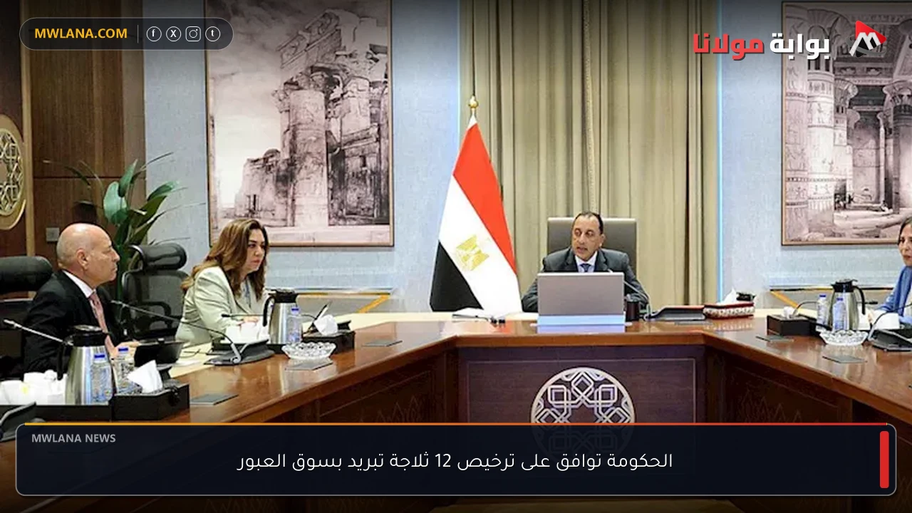 الحكومة توافق على ترخيص 12 ثلاجة تبريد بسوق العبور